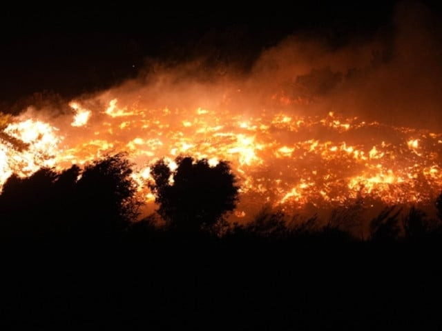 forest fire spreads burns several houses